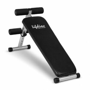 LB 310 Abdominal Bench