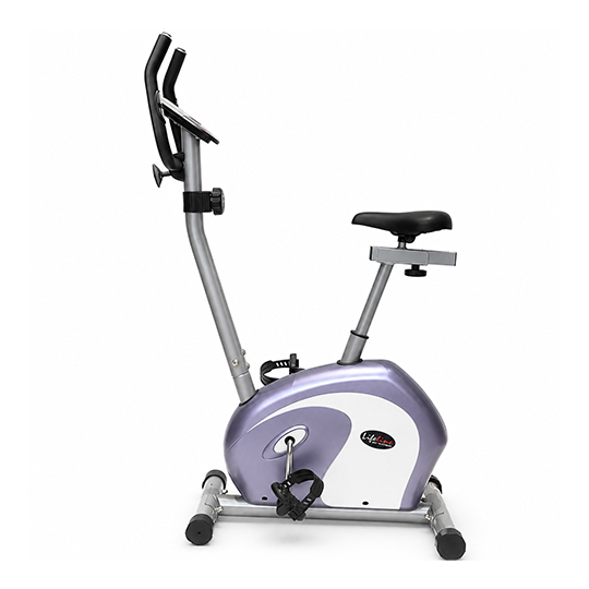 Lifeline Magnet Bike LM-709